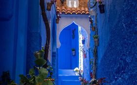 Casa Blue Star